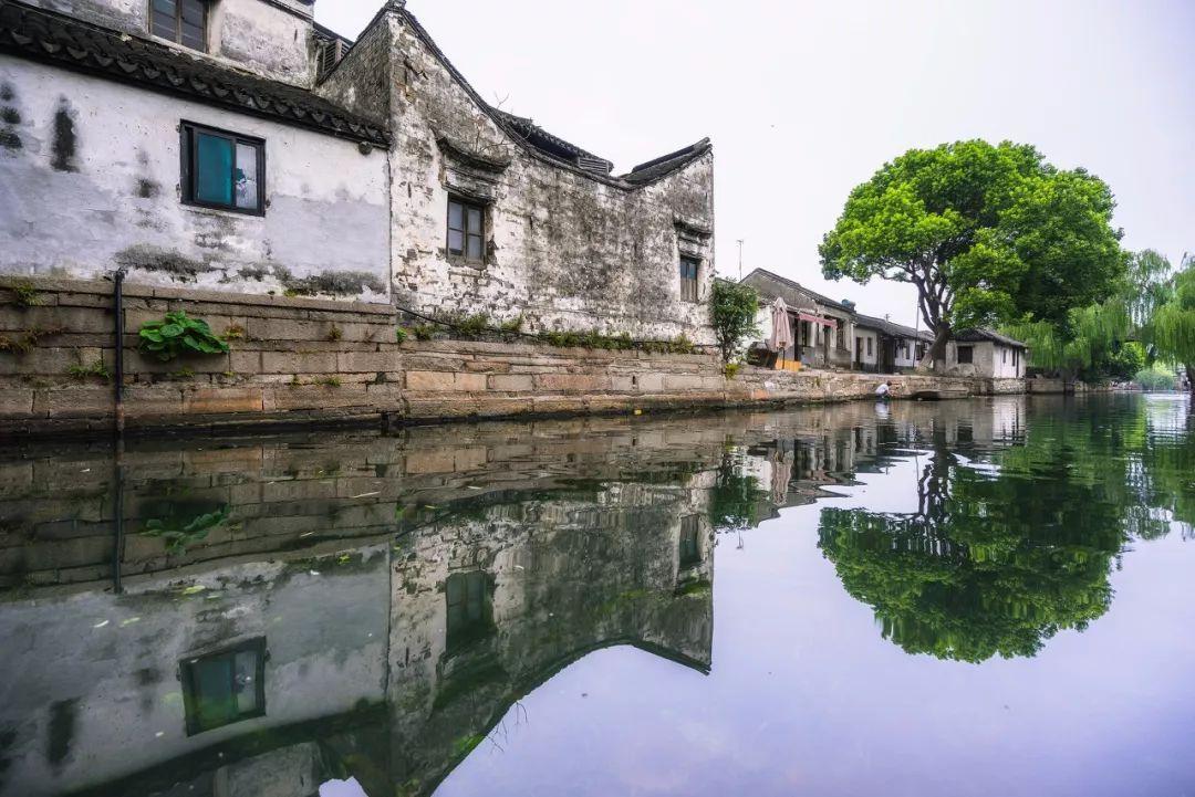 漂亮鹦鹉救援